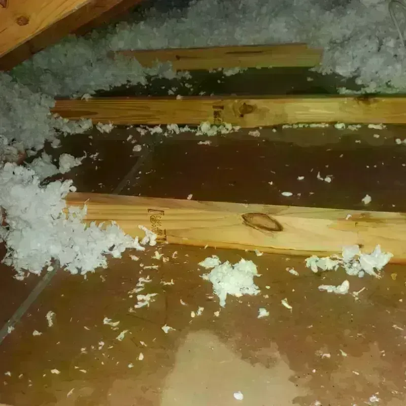 Attic Water Damage in Okolona, MS